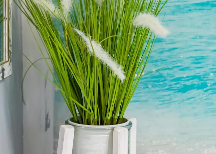 Modern Kapitanski Mostek By Renters * Kołobrzeg